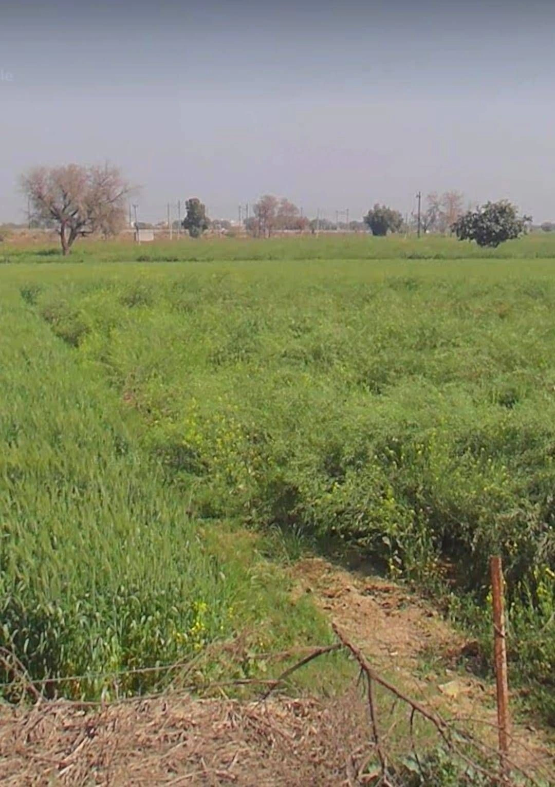 Khori, Rewari, Haryana 123101, India