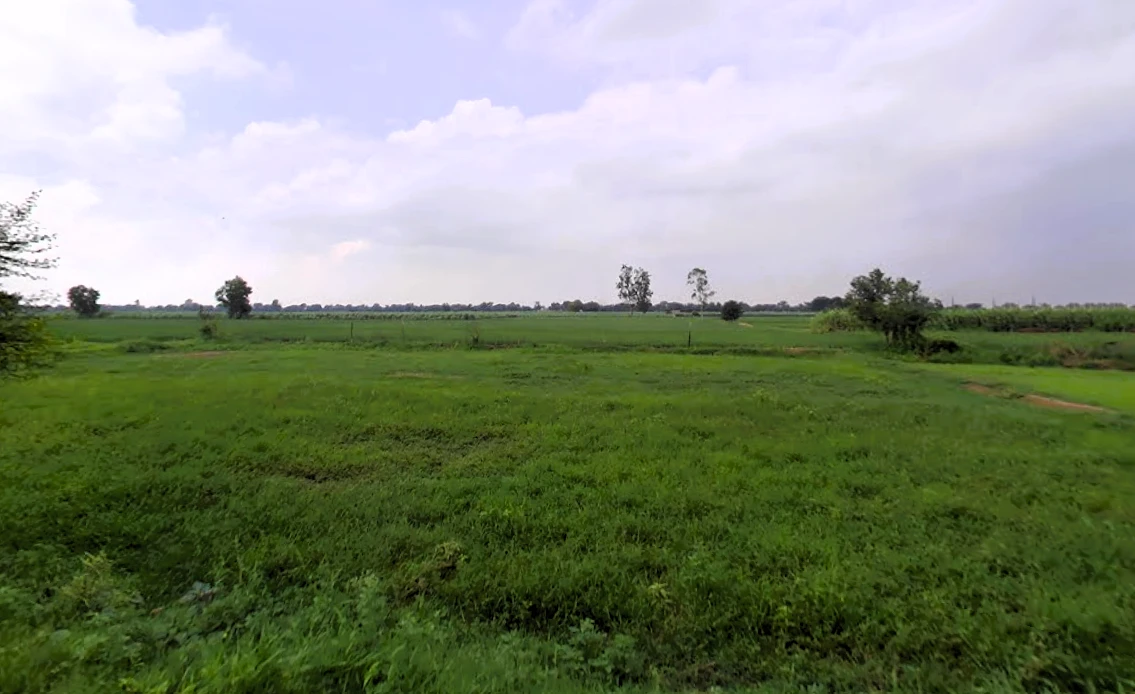 Tosham, Haryana 127040, India