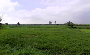 Tosham, Haryana 127040, India preview 3