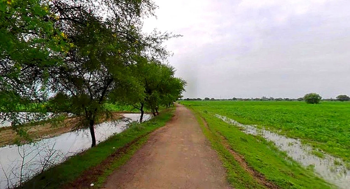 Barsana, Uttar Pradesh 281405, India