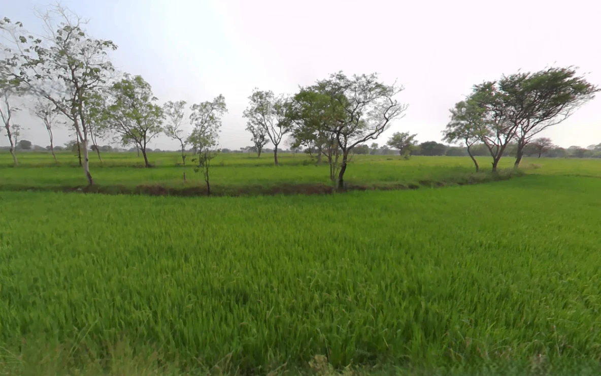 Bhoring, Chhattisgarh 493445, India