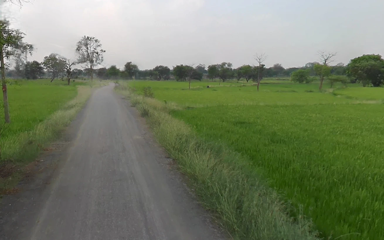 Dharamjaigarh, Chhattisgarh 496116, India