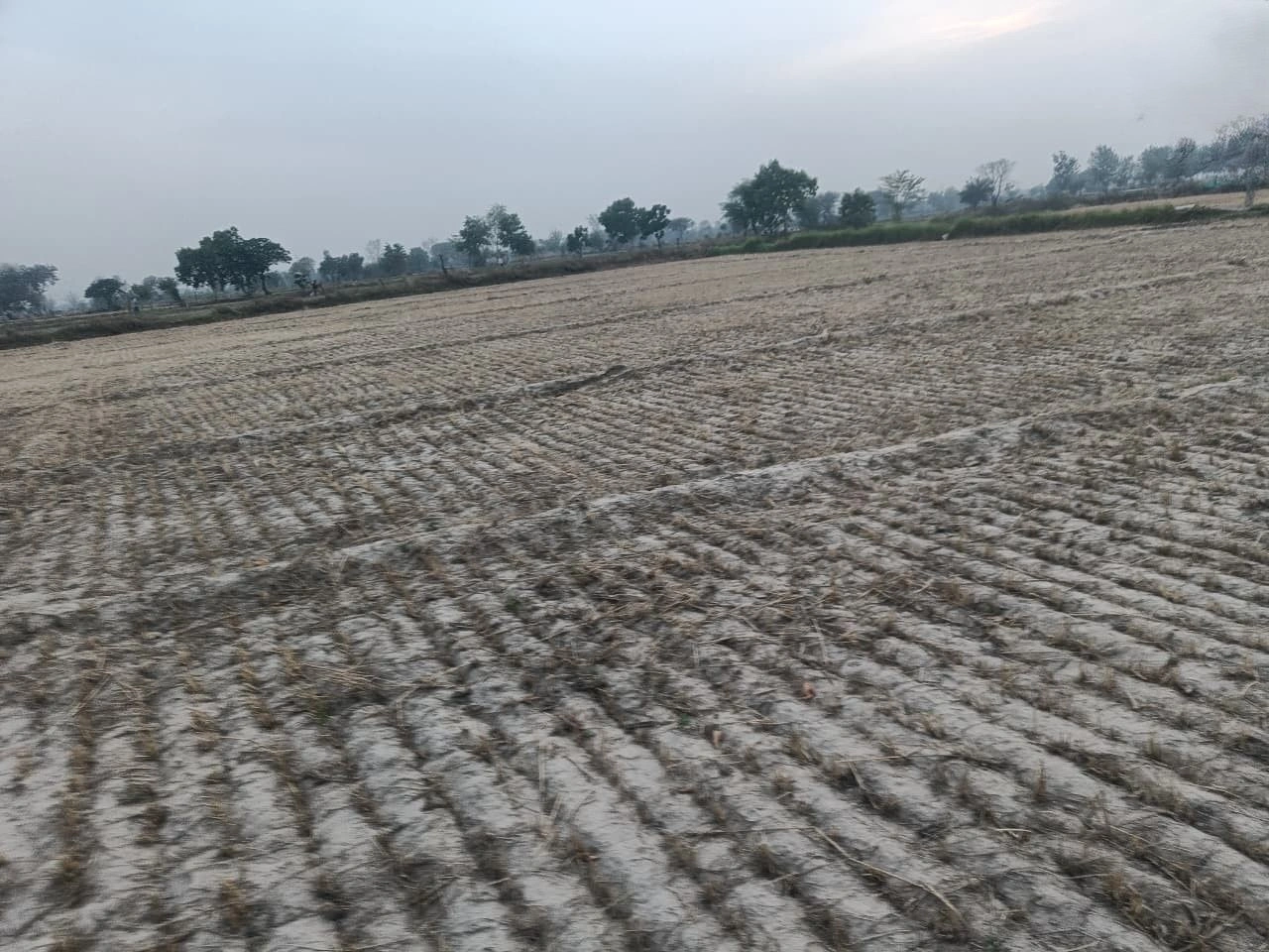 CQVH+5HP, Khunteta Khurd, Rajasthan 301001, India