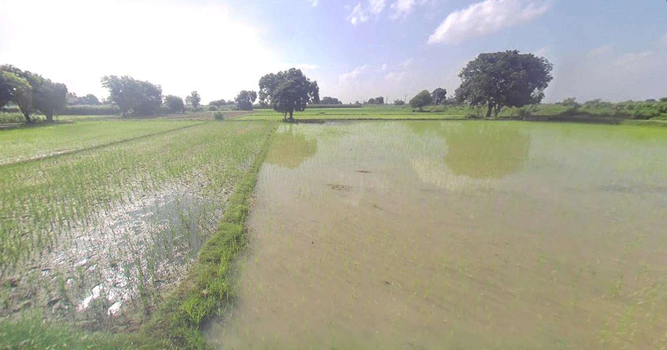 Khyalipur, Uttar Pradesh 244235, India