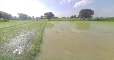 Khyalipur, Uttar Pradesh 244235, India preview 3
