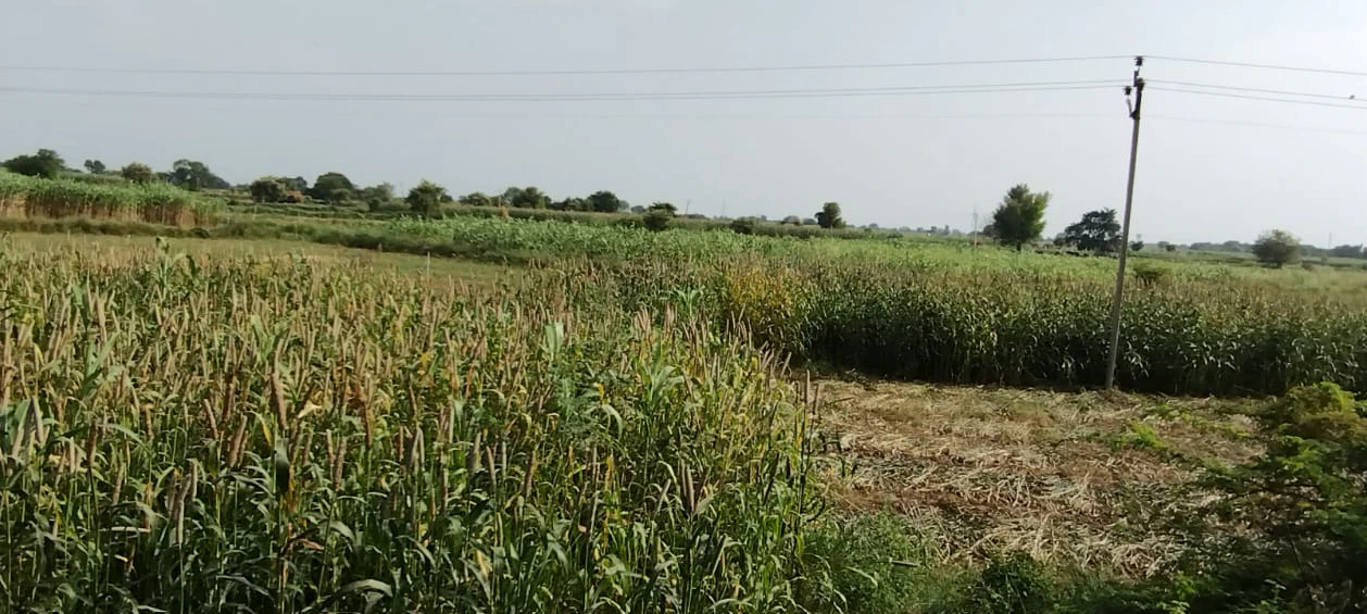 Kranti, West Bengal 735218, India