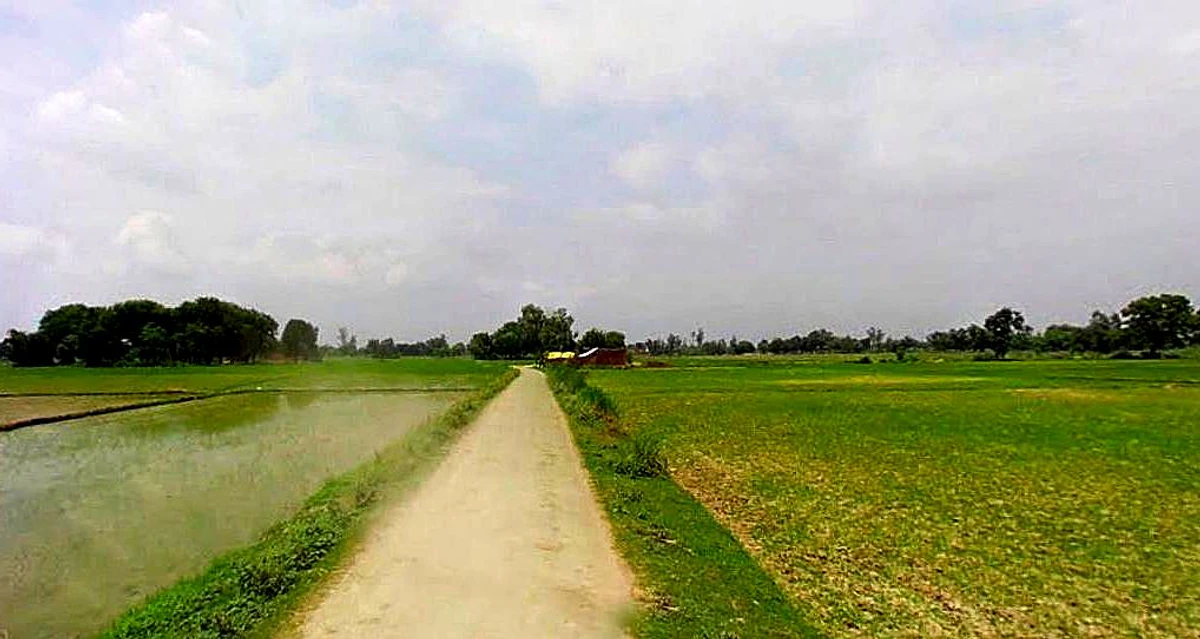 Mathura, Uttar Pradesh, India