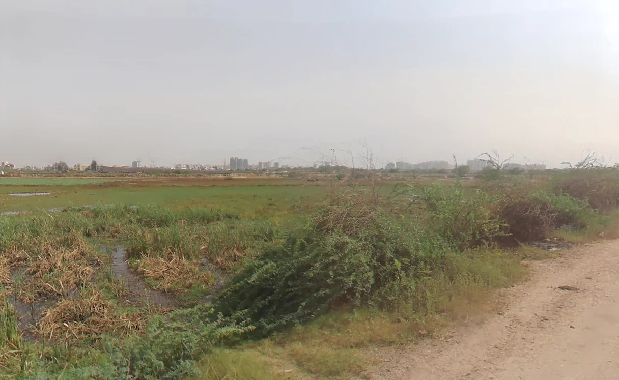 Sector 104, Gurugram, Haryana 122006, India preview 2