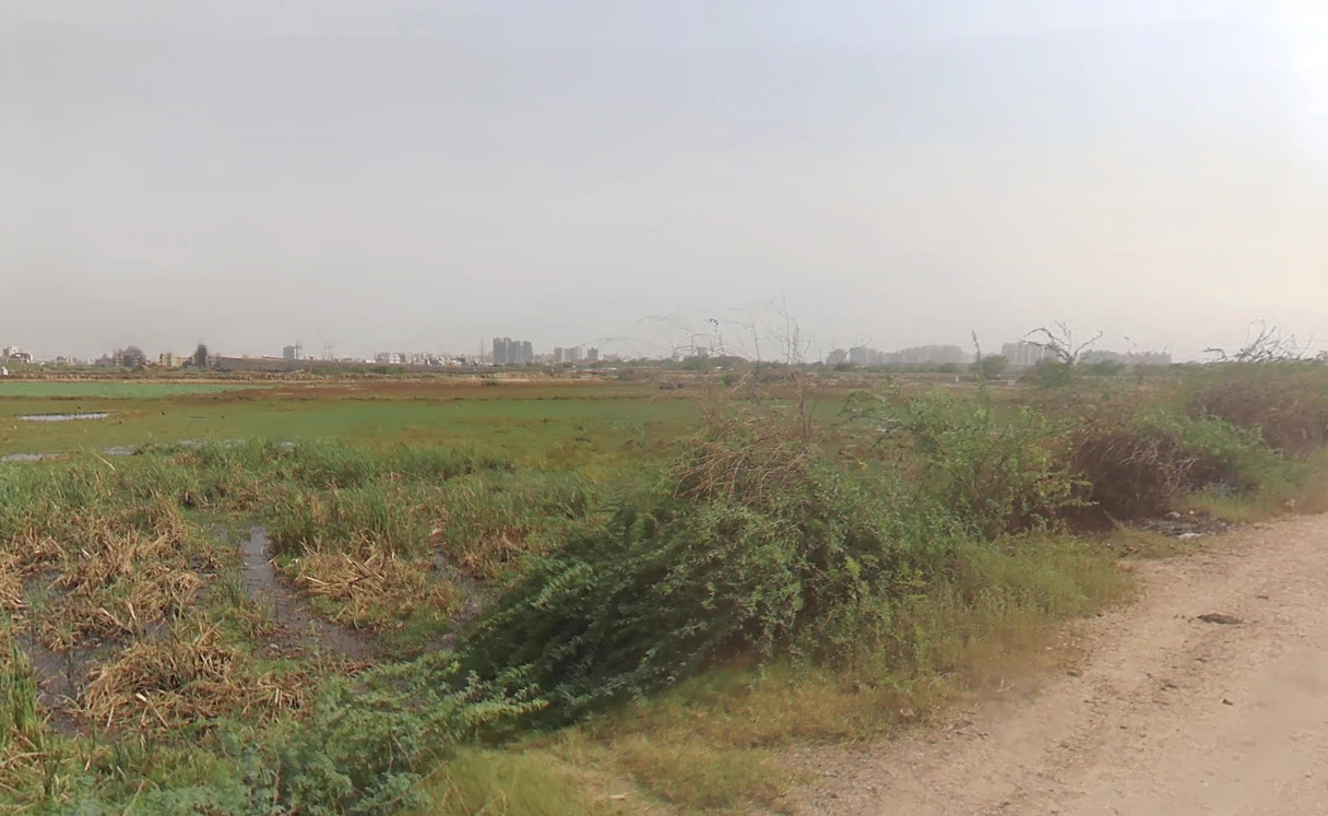 Sector 104, Gurugram, Haryana 122006, India