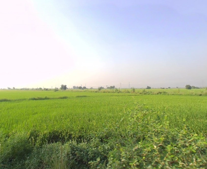 Kalpi Rd, Rai Purwa, Kanpur, Uttar Pradesh, India