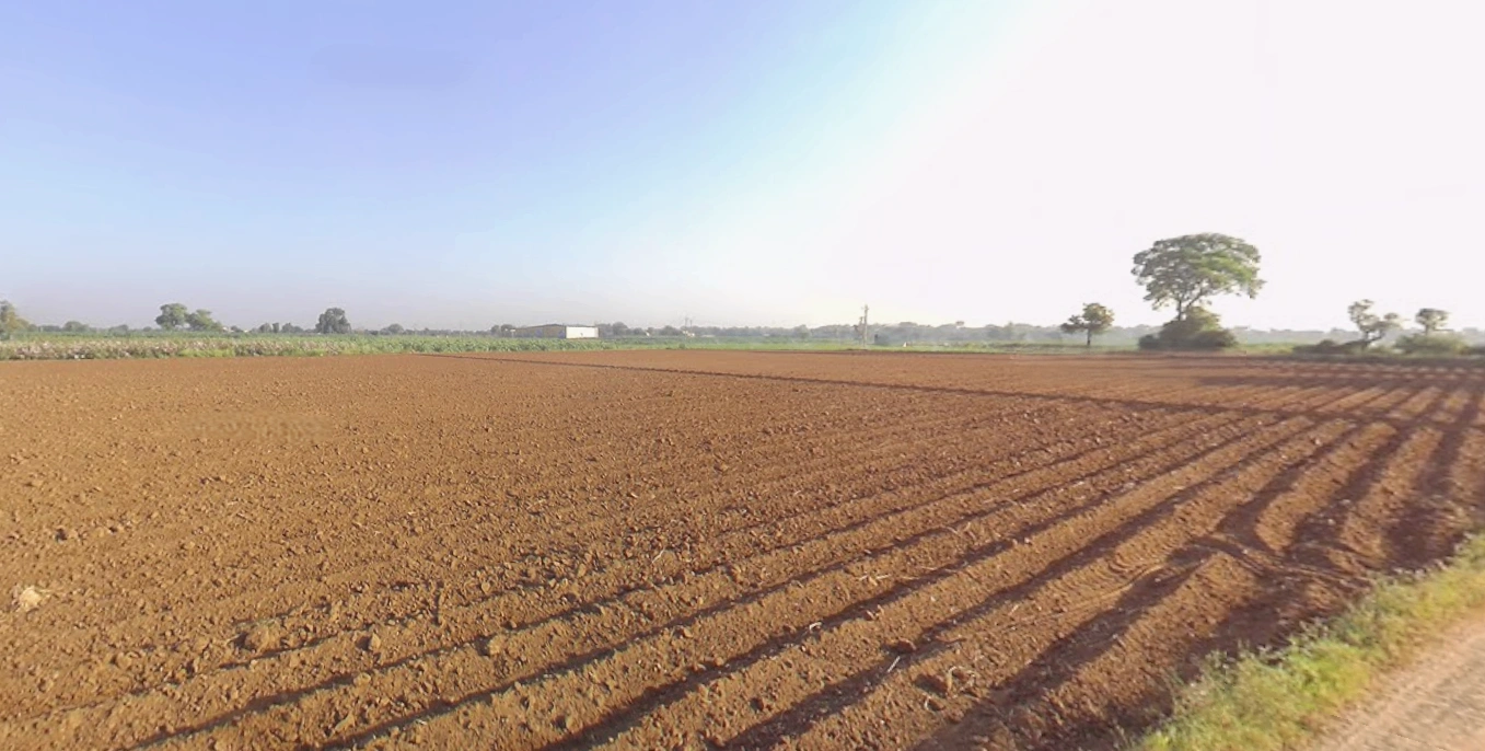 Mota Timbla, Gujarat, India