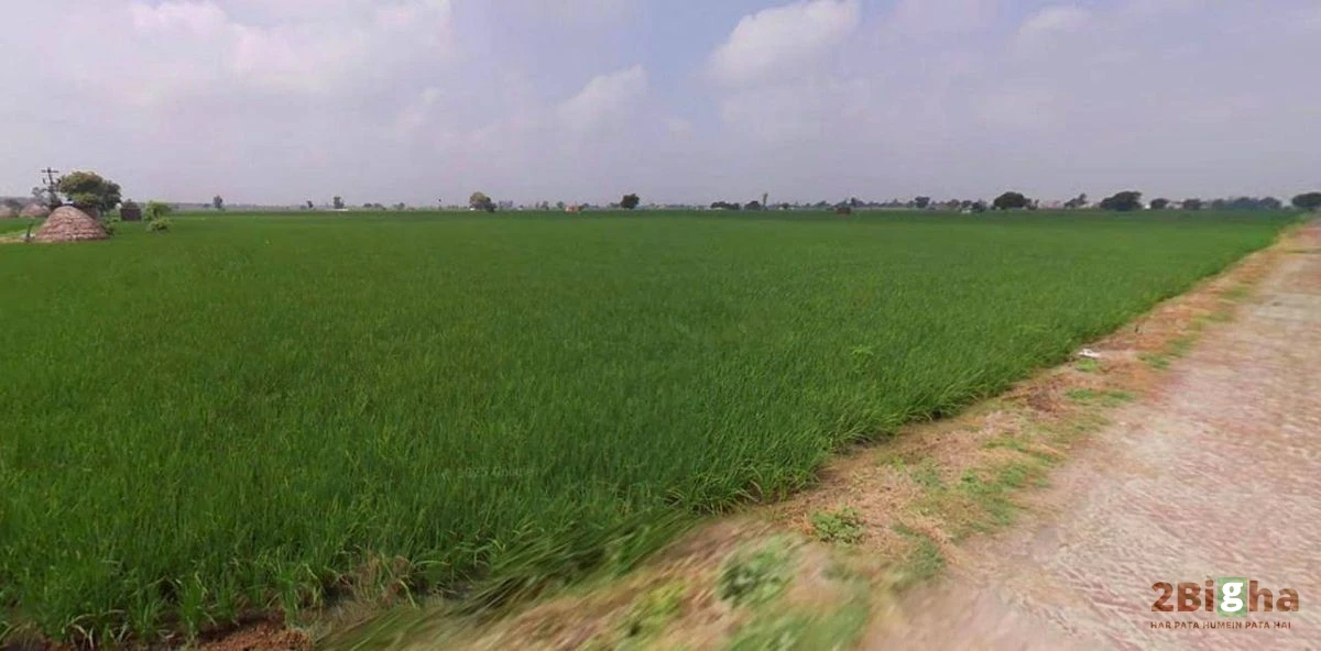 Hansi, Haryana 125033, India