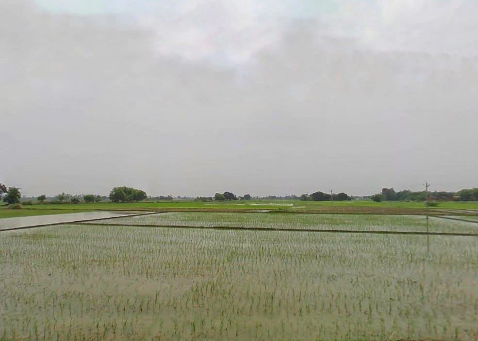 Bannawa, Uttar Pradesh, India