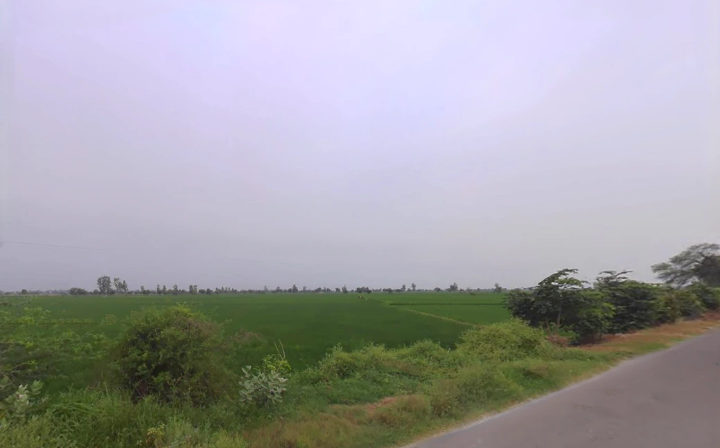 Fatehgarh, Haryana 126101, India