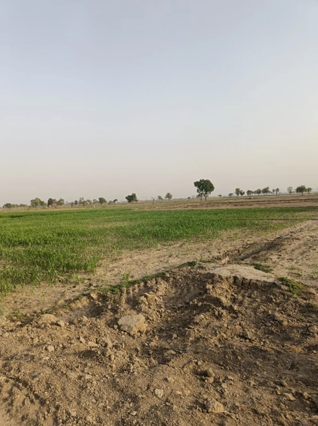 Barnagar, Madhya Pradesh 456771, India preview 2