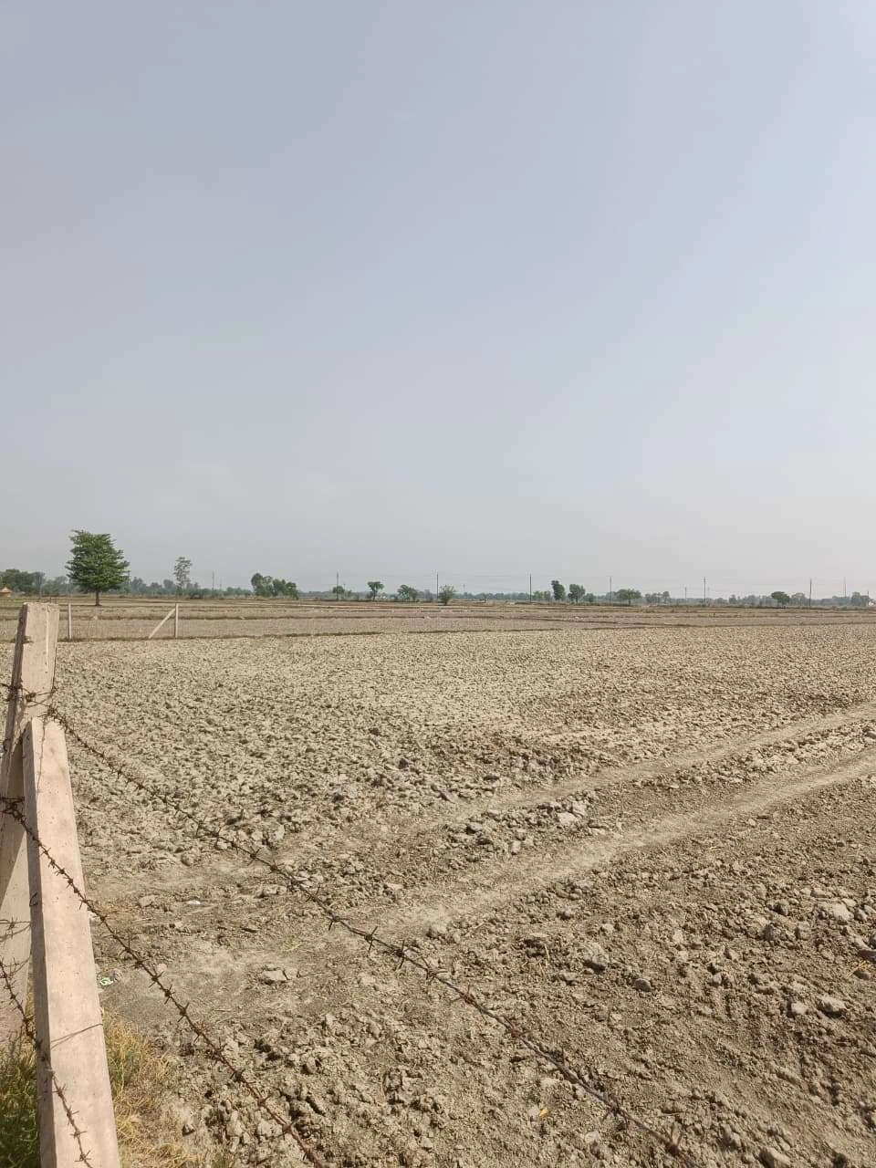 Aou, Rajasthan, India