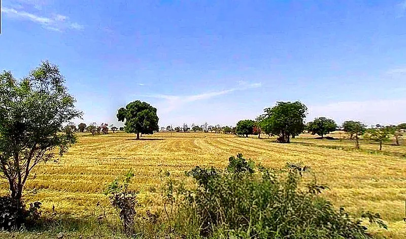Lakhakhedi Naharpur, Madhya Pradesh 456443, India preview 5