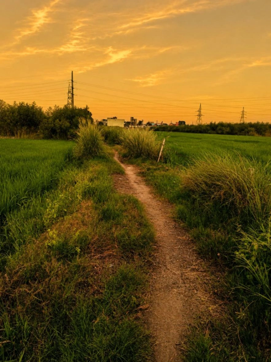 Baraka, Mathura, Uttar Pradesh, India