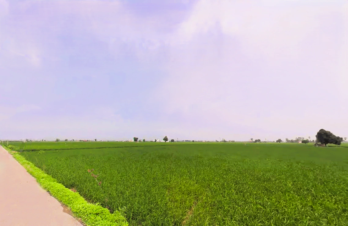 Assandh, Haryana 132039, India