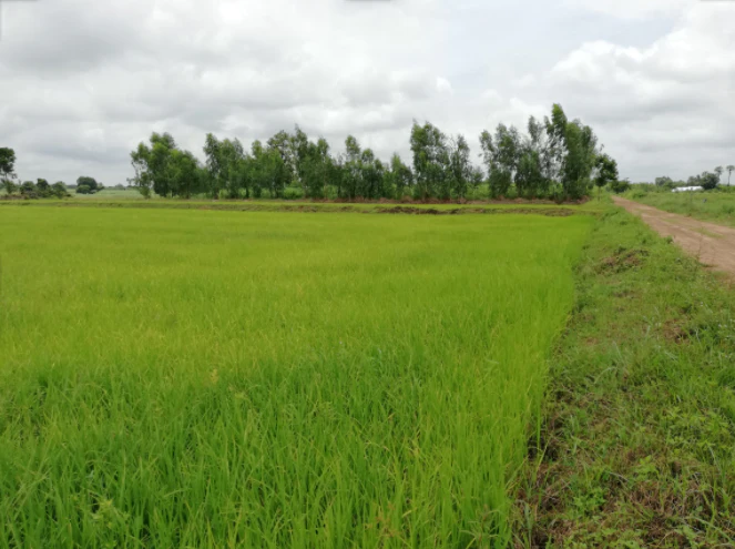 Beesalpur, Rajasthan, India