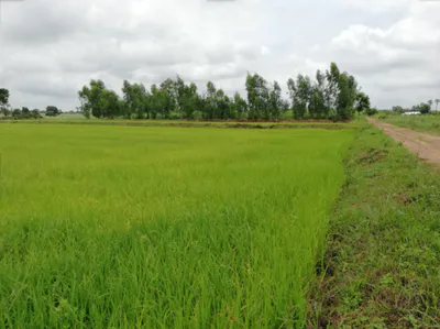 Beesalpur, Rajasthan, India preview 3