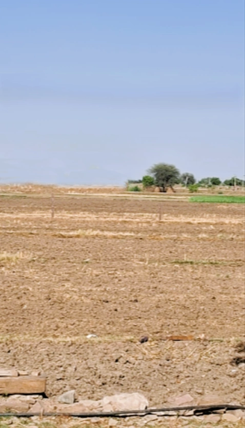 QRJF+34, Bikaner, Mahajan, Rajasthan 334604, India