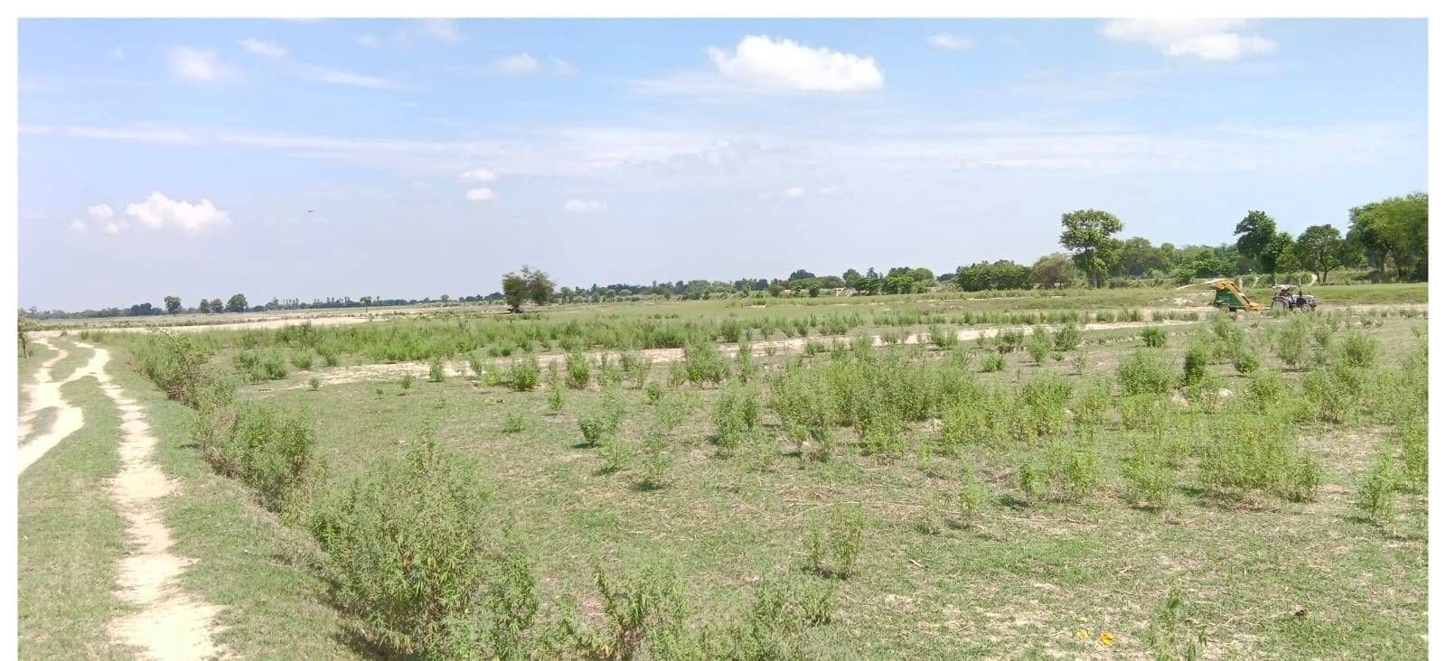 P7J8+R7 Sarairasi Manjha, Ayodhya, Uttar Pradesh, India
