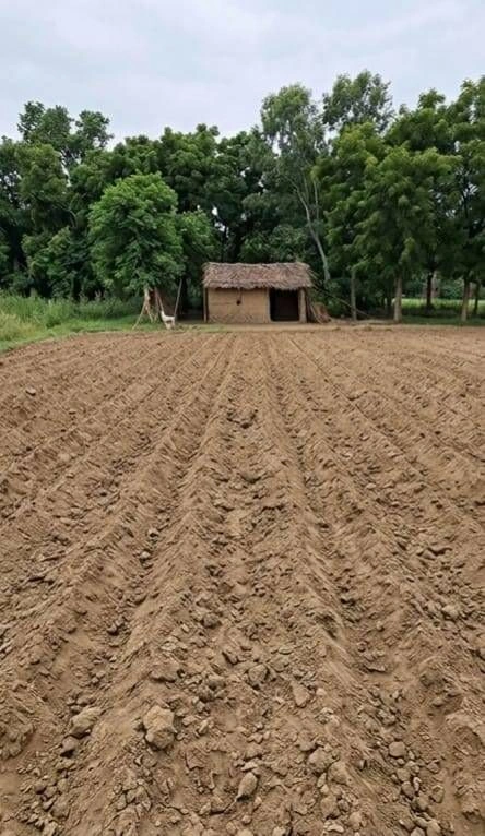 Barhana, Uttar Pradesh, India