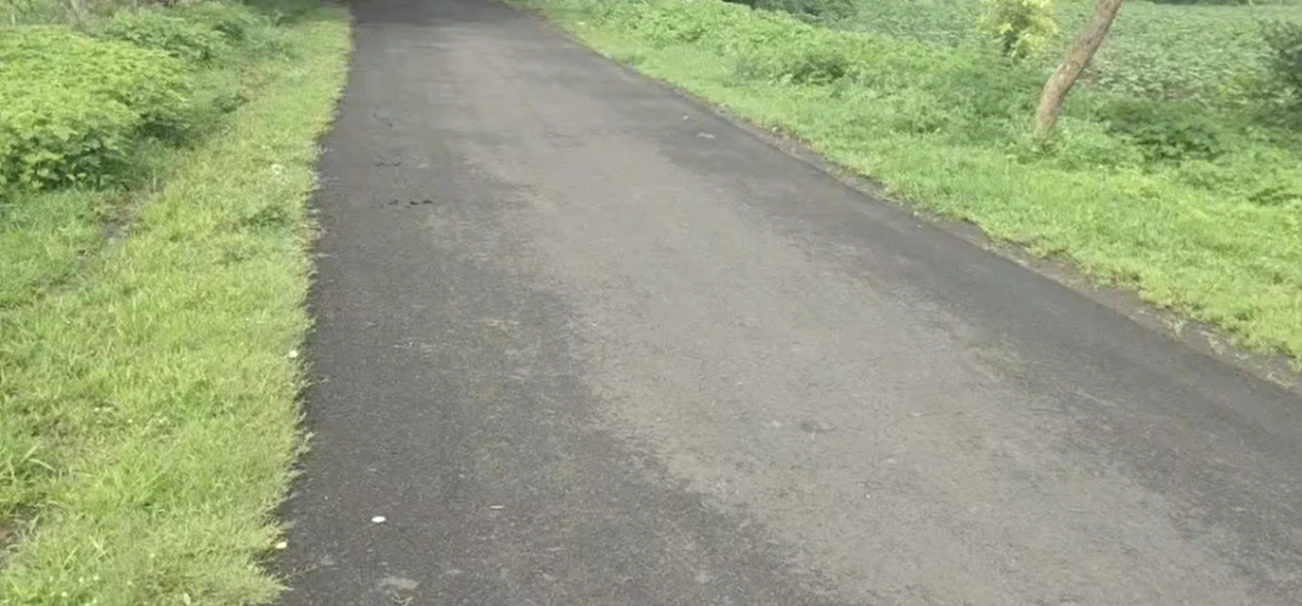 4J7P+PW3, Sangareddy, Enkemori, Telangana 502286, India - Photo 3