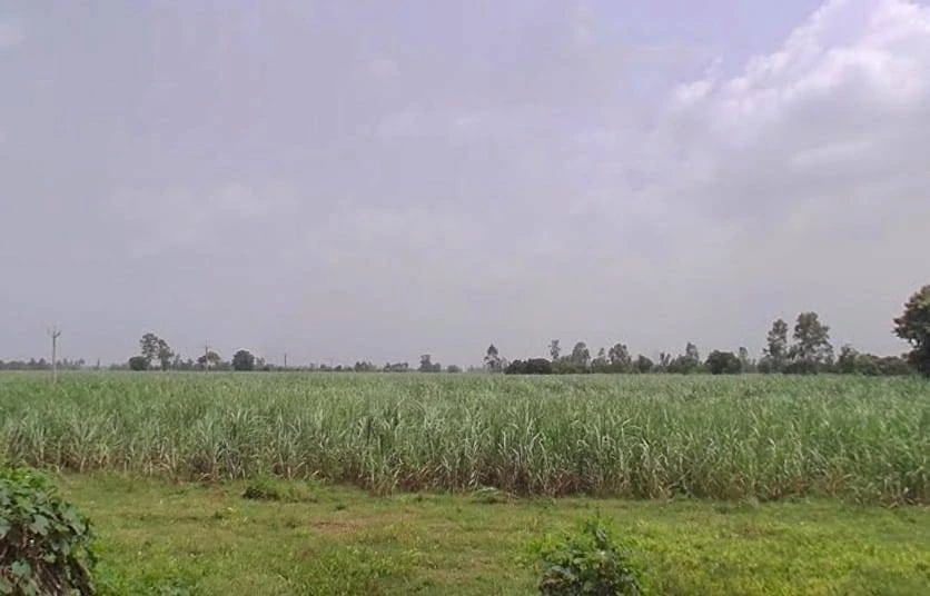 7772+J8C, Hitauta, Hitauti, Uttar Pradesh 242405, India