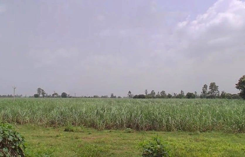 7772+J8C, Hitauta, Hitauti, Uttar Pradesh 242405, India