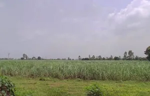 7772+J8C, Hitauta, Hitauti, Uttar Pradesh 242405, India preview 3