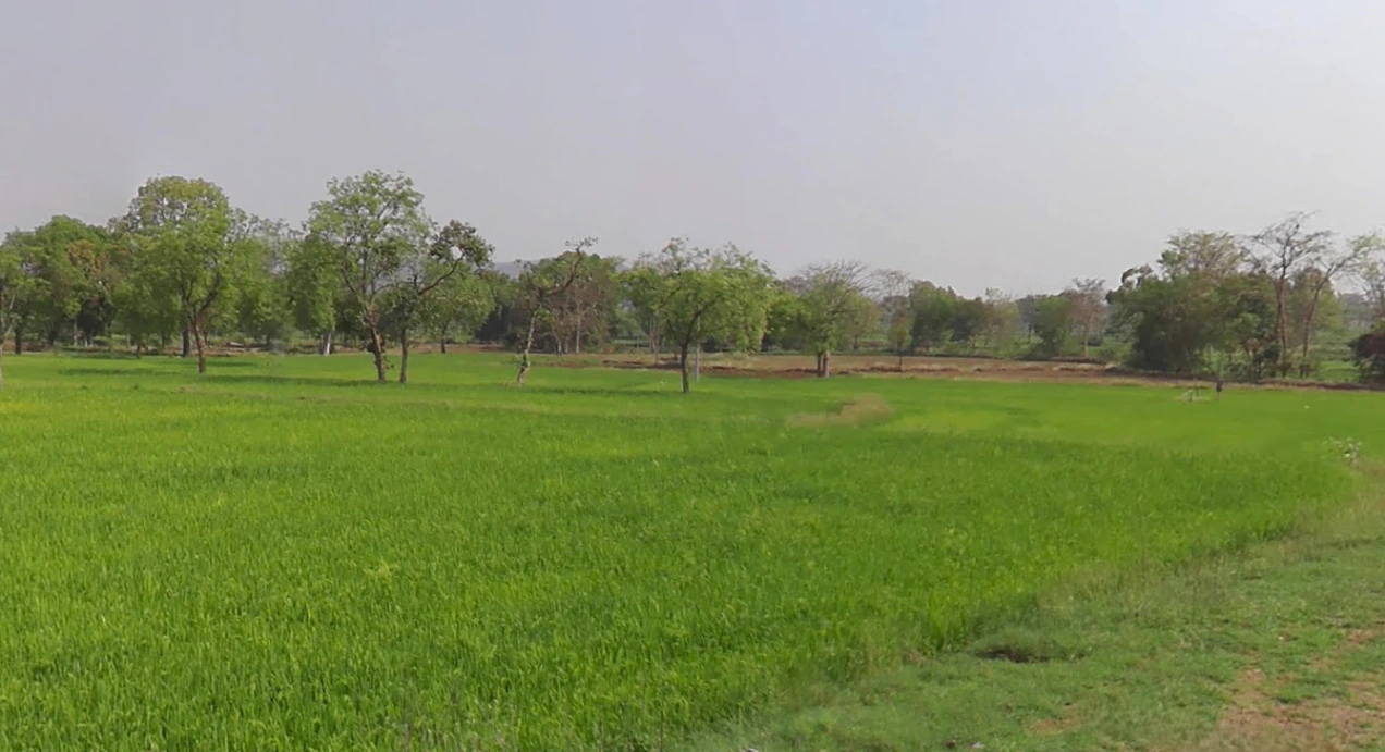 Amethi, Chhattisgarh, India