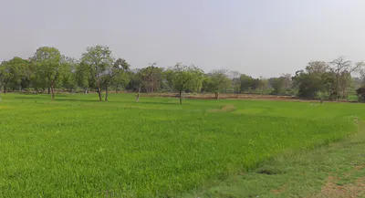 Amethi, Chhattisgarh, India preview 3