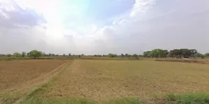 Masaurhi, Bihar 804452, India preview 2