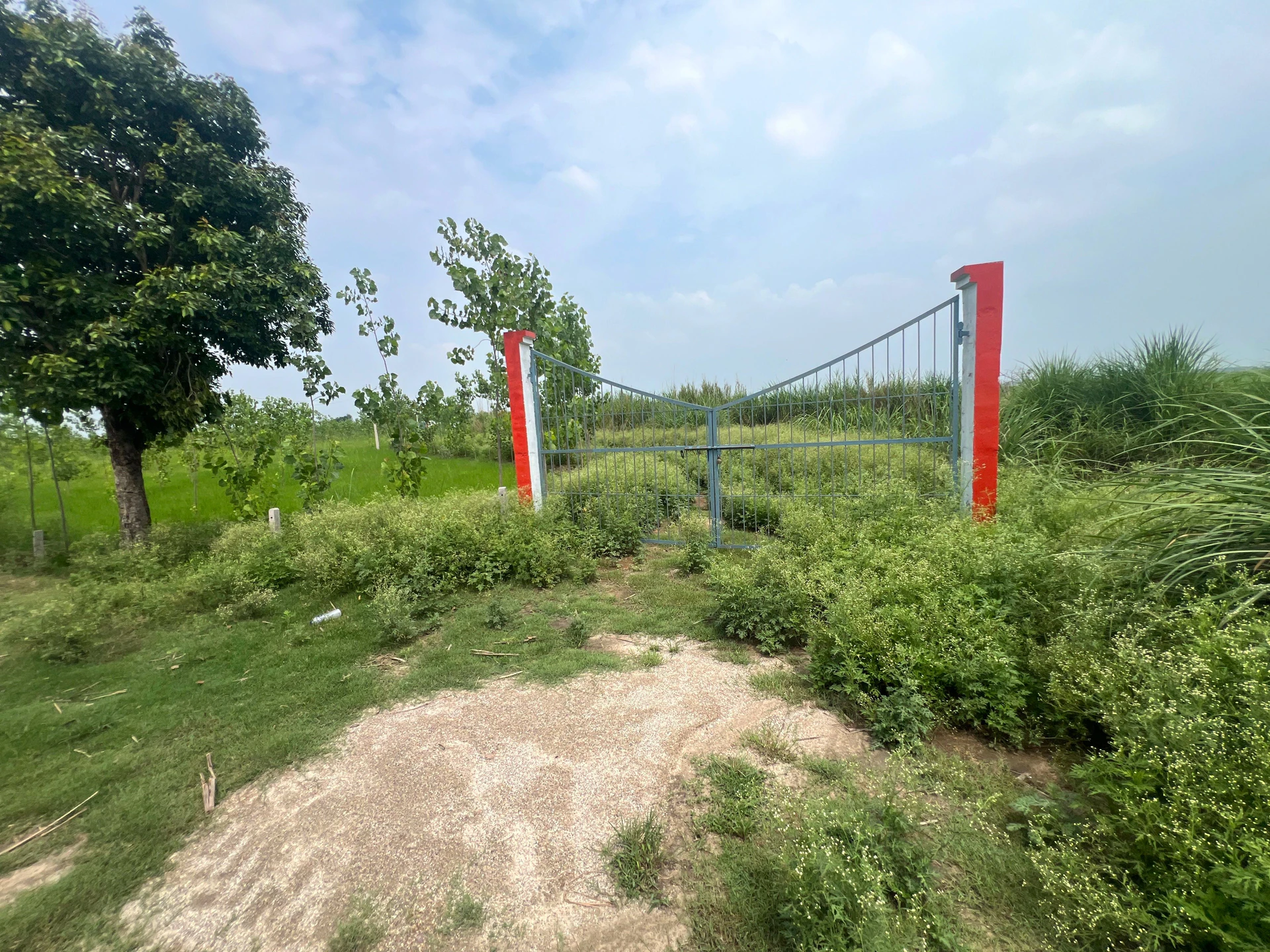 Mawana, Uttar Pradesh, India