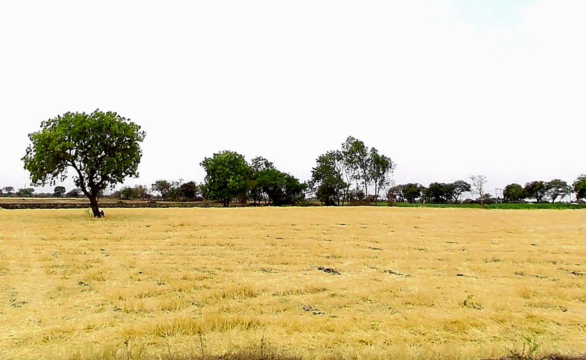 Dhulet, Madhya Pradesh 456443, India