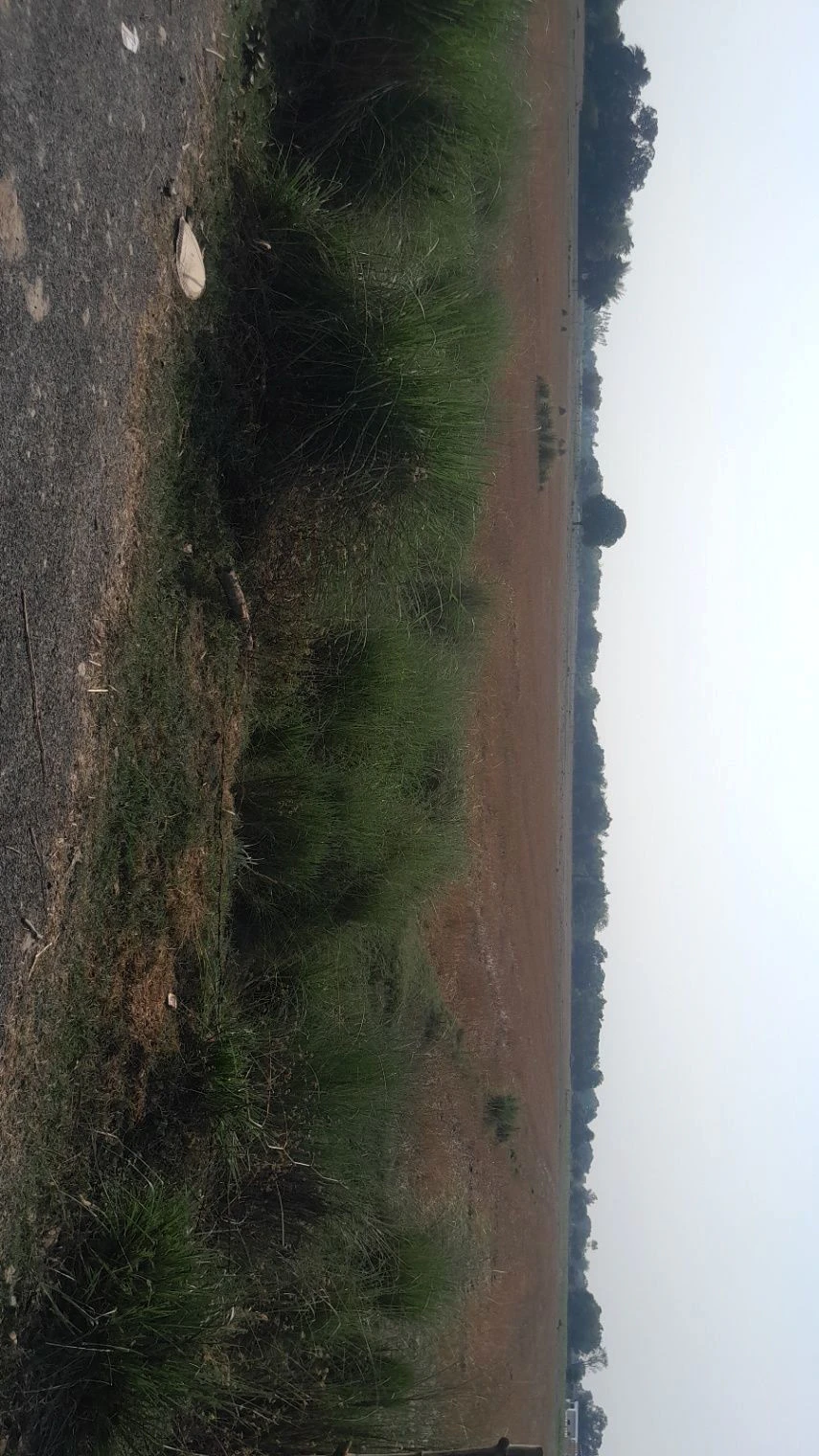 P5F5+58Q, Masaudha, Malik Pur, Dabha Semar, Uttar Pradesh 224133, India