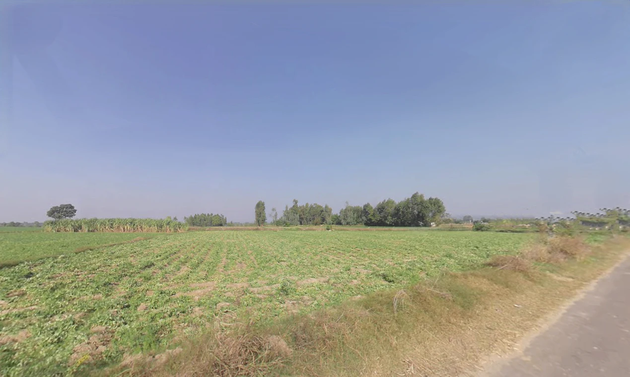 5M5F+M3R, Kalan, Uttar Pradesh 228172, India