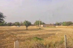 Ranoli, Rajasthan 332403, India preview 2