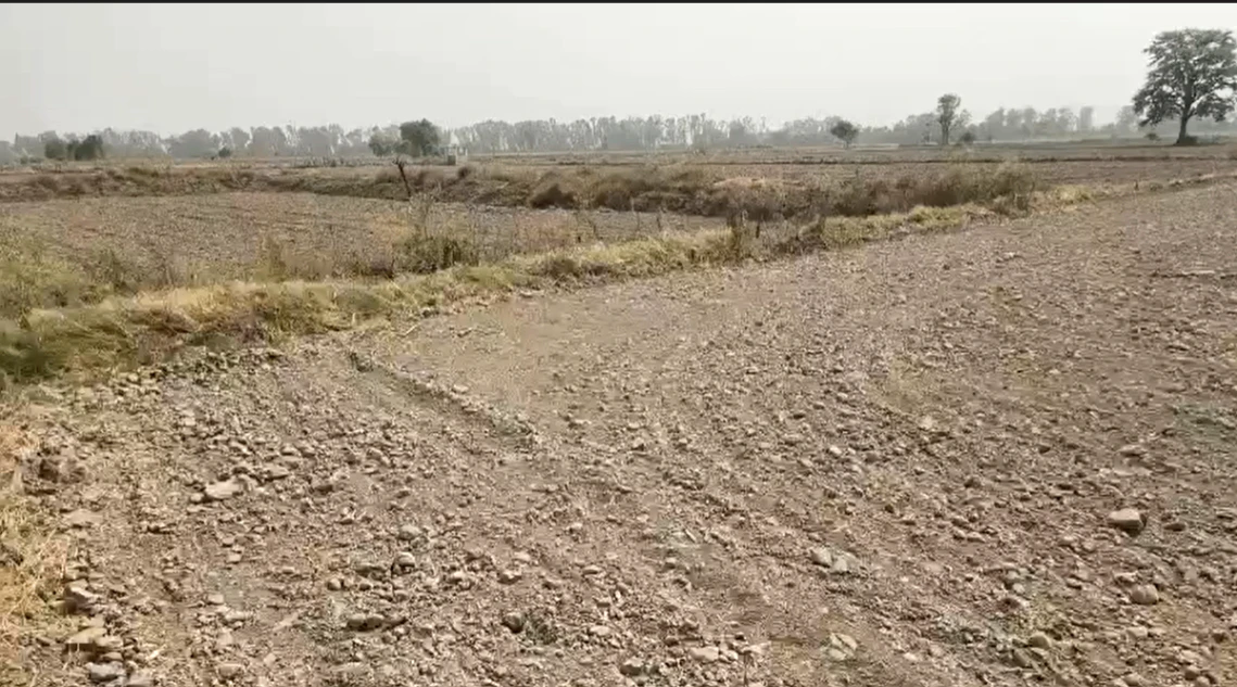 7MG8+J9 Dhoblai, Jaipur, Rajasthan, India