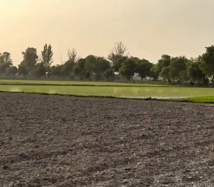 Soraon, Prayagraj, Uttar Pradesh, India