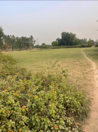 Chhatarpur, New Delhi, Delhi, India