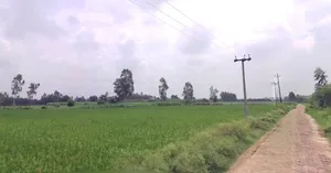 4HRP+6XR, Awantipur Badodia, Madhya Pradesh 465118, India preview 2