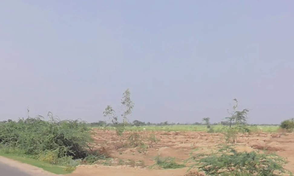 Talwandi Rana, Haryana 125005, India