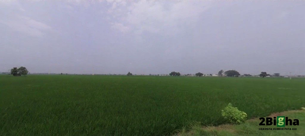Nissing, Haryana 132024, India