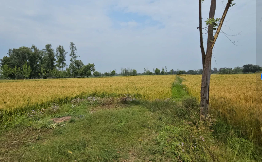 2RWM+F47, Ranga Reddy, Sologutta Tanda, Telangana 508245, India