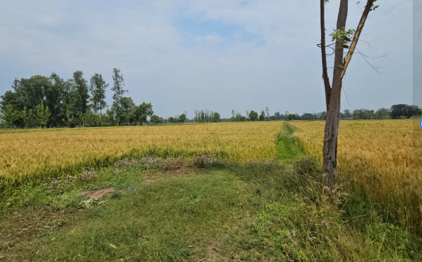 2RWM+F47, Ranga Reddy, Sologutta Tanda, Telangana 508245, India - Photo 3