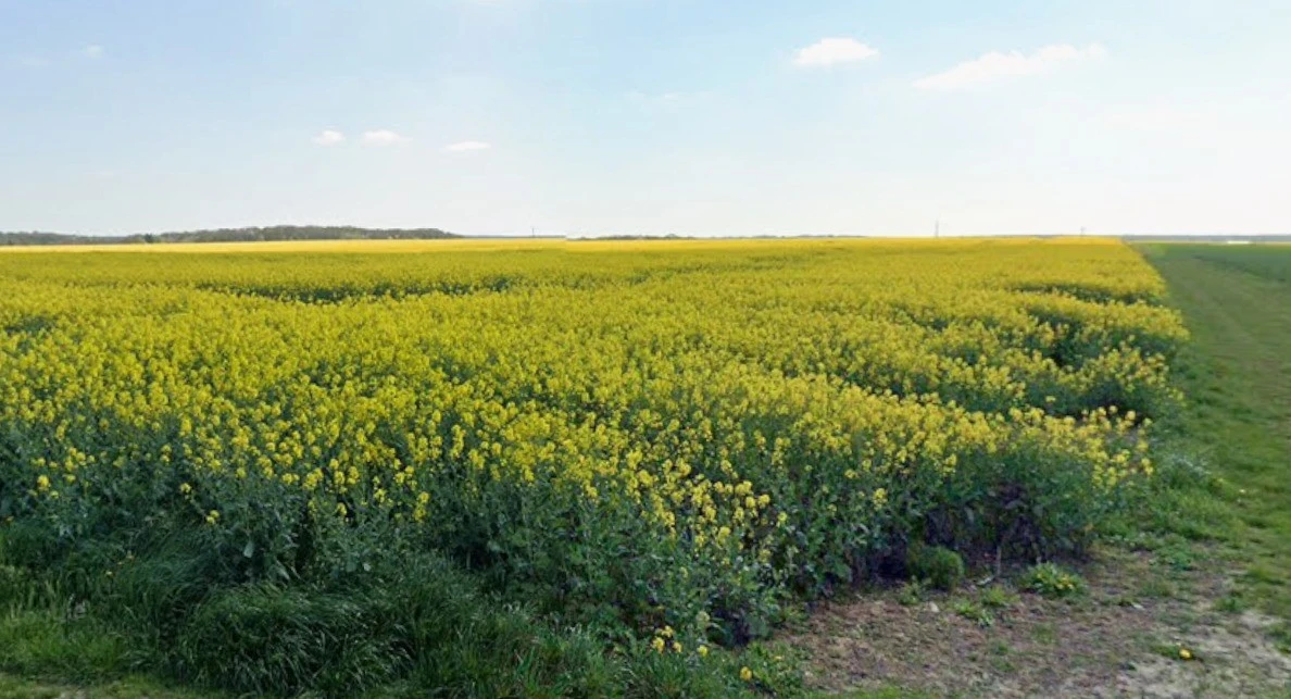 Bamhori, Madhya Pradesh 464551, India