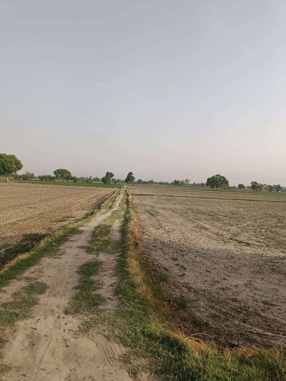 Tentigaon, Uttar Pradesh, India